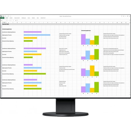 Monitor Eizo FlexScan EV2456