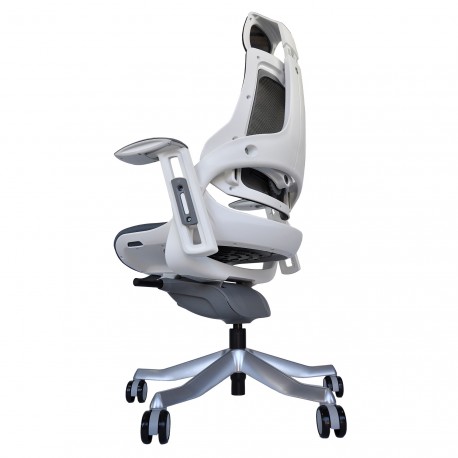 Pisarniški stol Ergovision iTrek 01 (WH22SA-MCH-FSG)