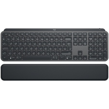 Tipkovnica USB Logitech MX Keys Plus, grafitna barva, SLO gravura