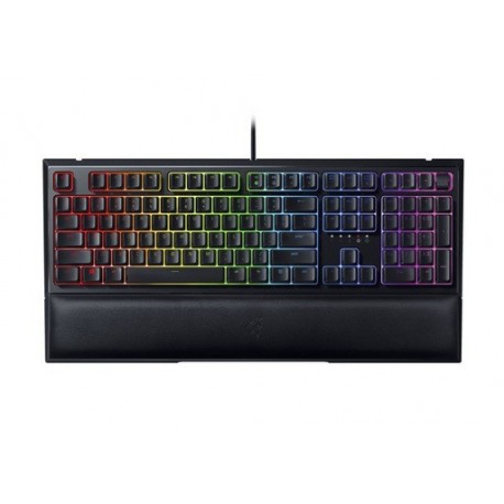 Tipkovnica USB Razer Ornata V2