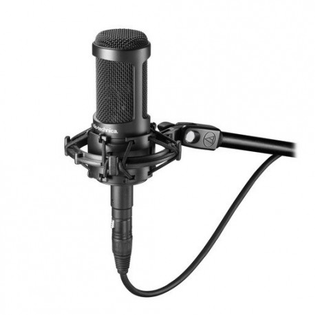 Mikrofon Audio-Technica AT2050