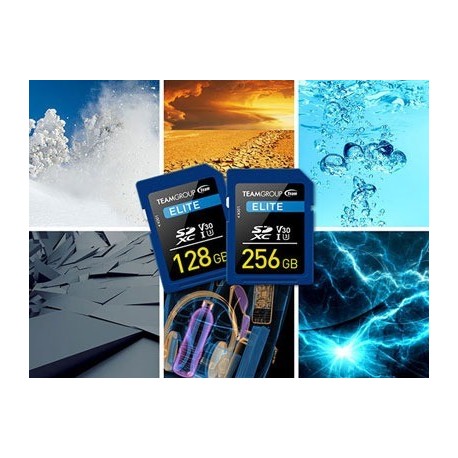 Teamgroup Elite 256GB SD UHS-I V30 90MB/s spominska kartica, DEMO