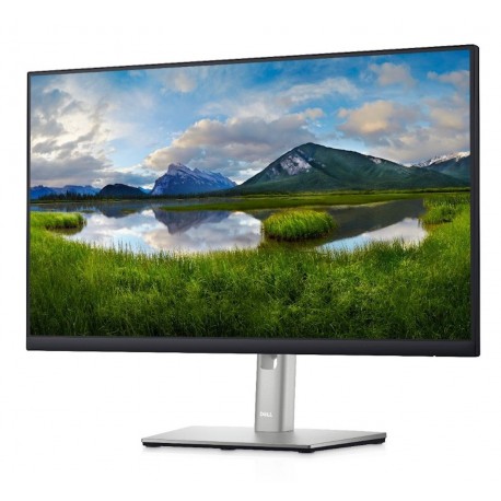 Monitor DELL P2422H
