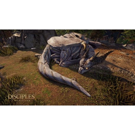 Igra Disciples: Liberation - Deluxe Edition (PC)