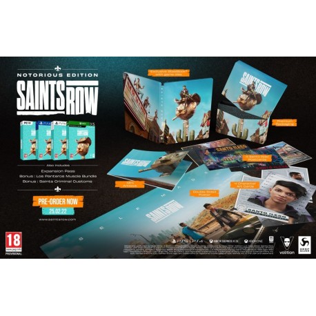 Igra Saints Row - Notorious Edition (PS5)