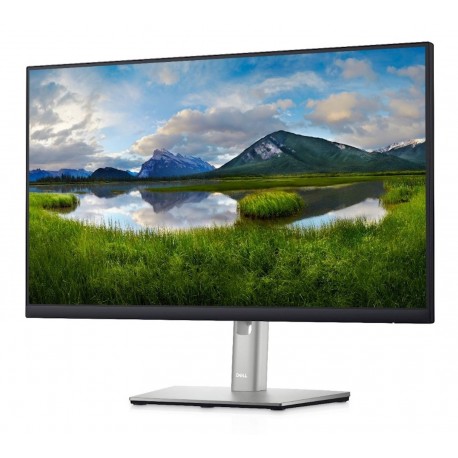 Monitor DELL P2422HE