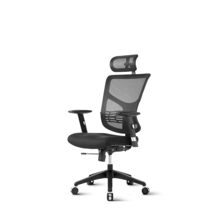 Ergonomski stol Ergovision Essent, črn
