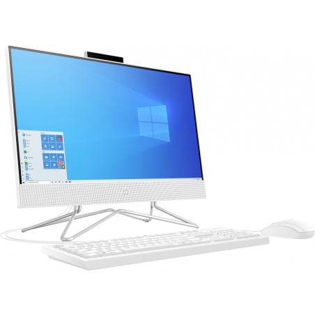 Računalnik renew HP All-in-One 22-df0000ne i3-1005G1/4 GB/1 TB HDD/21,5" FH