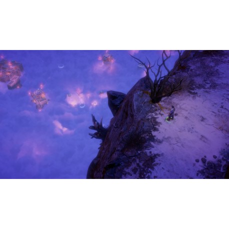 Igra Pathfinder: Wrath of the Righteous - Limited Edition  (Playstation 4)
