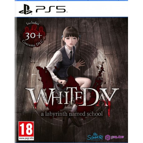 Igra White Day: A Labyrinth Named School (Playstation 5)