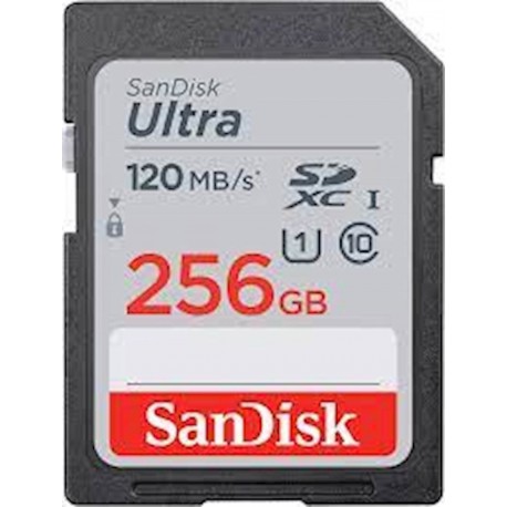 Pomnilniška kartica SDXC SanDisk 256GB Ultra, C10, U1