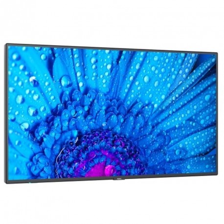 Monitor NEC MultiSync M431
