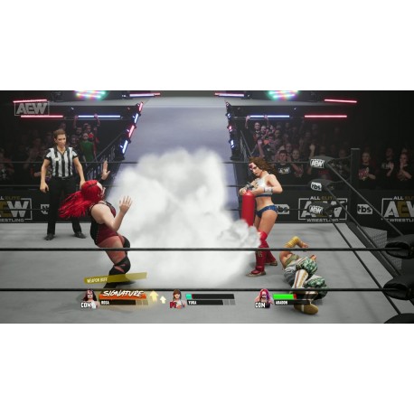 Igra AEW: Fight Forever (Playstation 5)