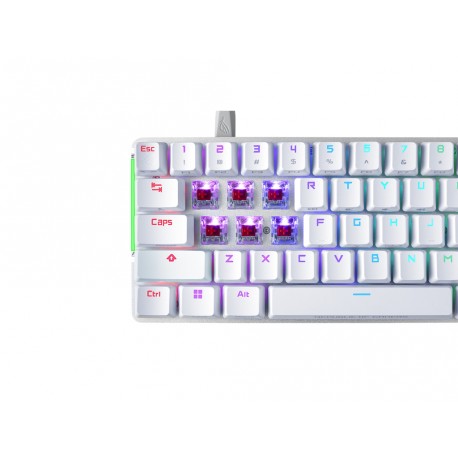 Tipkovnica ASUS ROG Falchion Ace, ROG NX Red, RGB, bela
