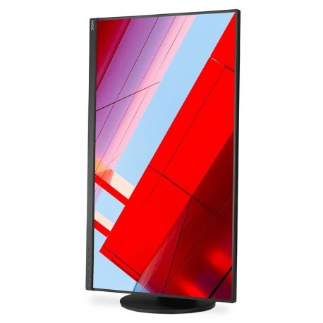 Monitor NEC MultiSync E243F