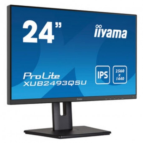 Monitor IIYAMA ProLite XUB2493QSU-B5