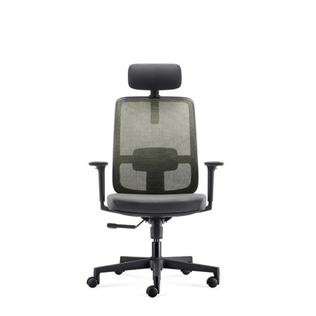 Pisarniški stol Ergovision ERGO Basic, zelen