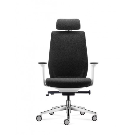 Pisarniški stol Ergovision COMFORT, siva