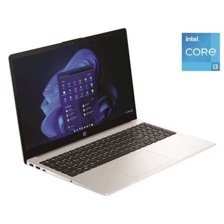 Prenosnik HP 250 G10 i3-1315U, 16GB, SSD 1TB, W11H