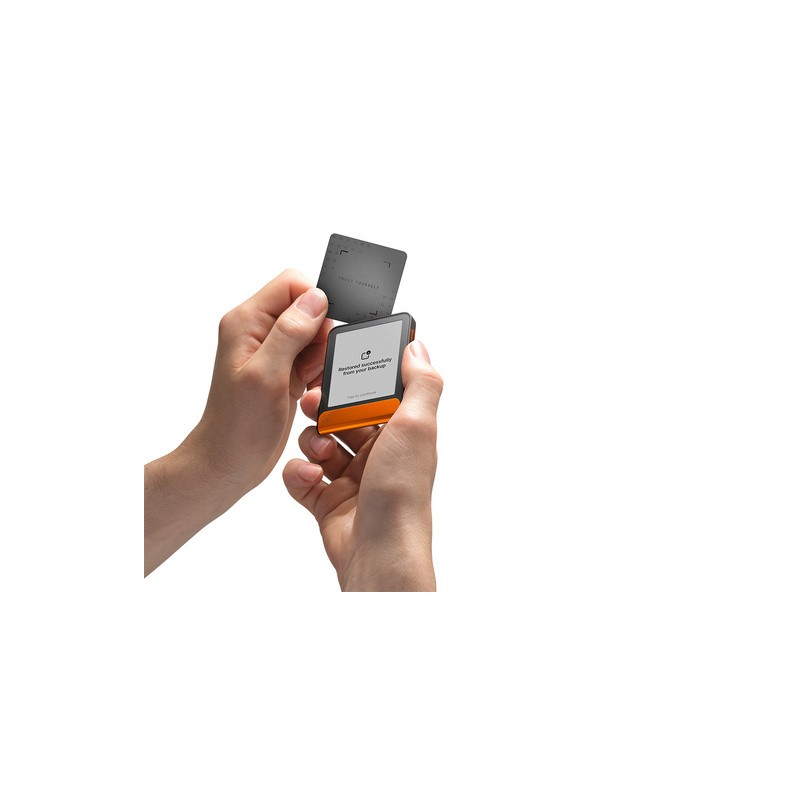 Denarnica za kriptovalute Ledger Flex z Recovery Key, oranžna