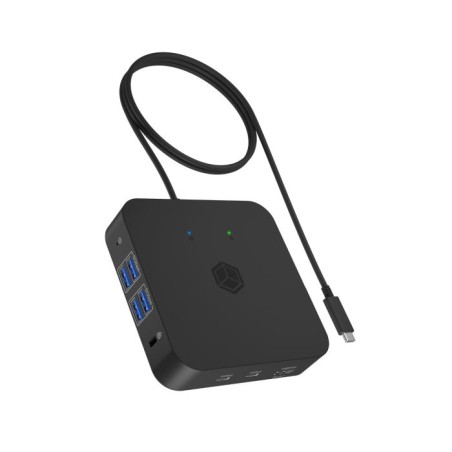 Priklopna postaja Icybox IB-DK4090-C, 12v1, USB-C