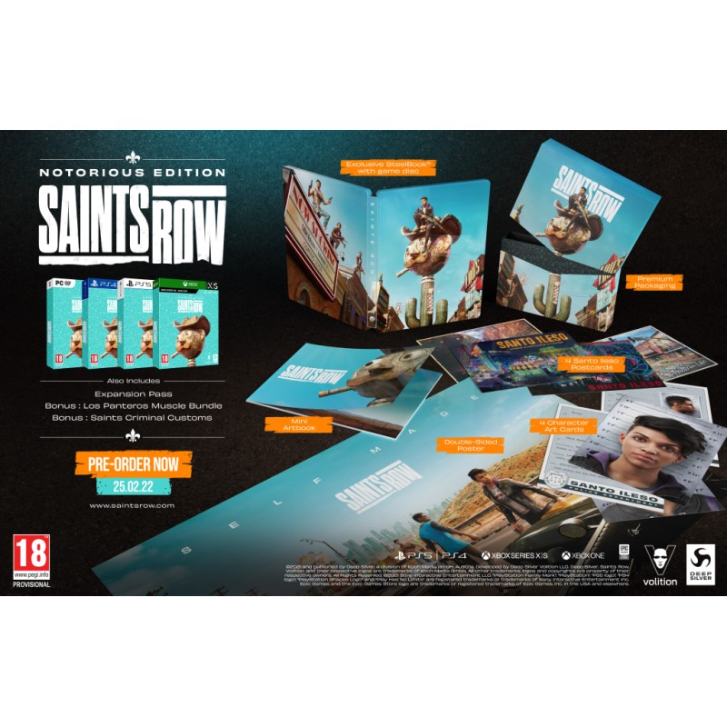 Igra Saints Row - Notorious Edition (PC)