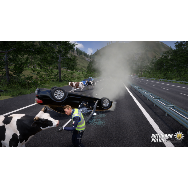 Igra Autobahn Police Simulator 3 (Playstation 4)