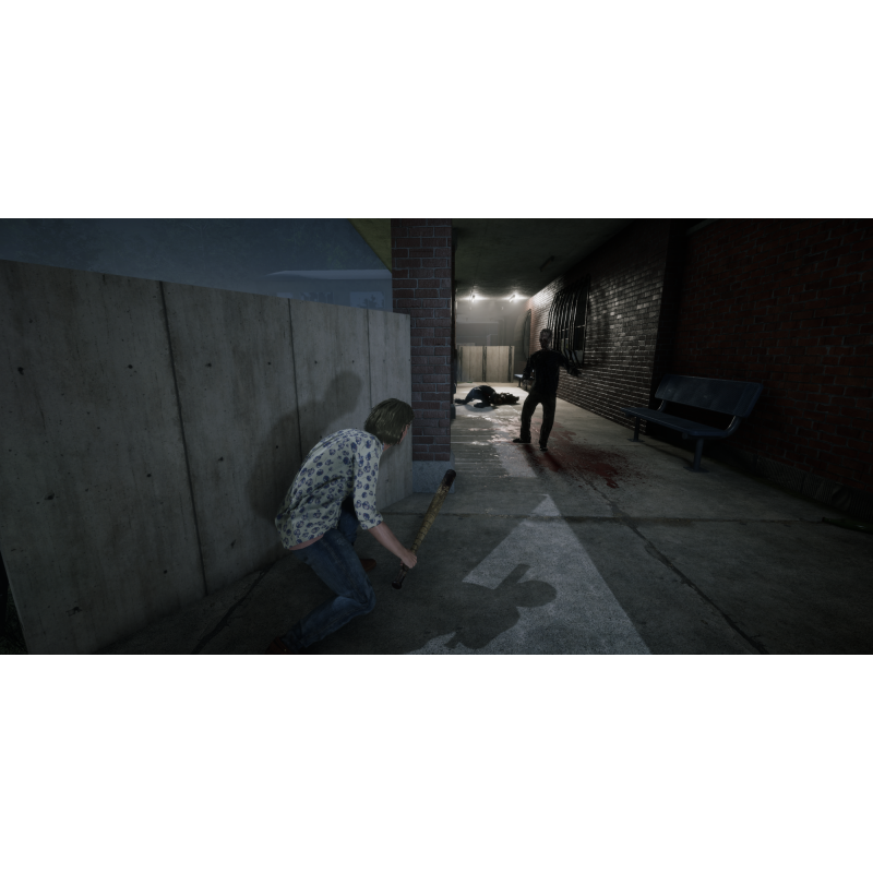 Igra The Walking Dead: Destinies (Playstation 4)