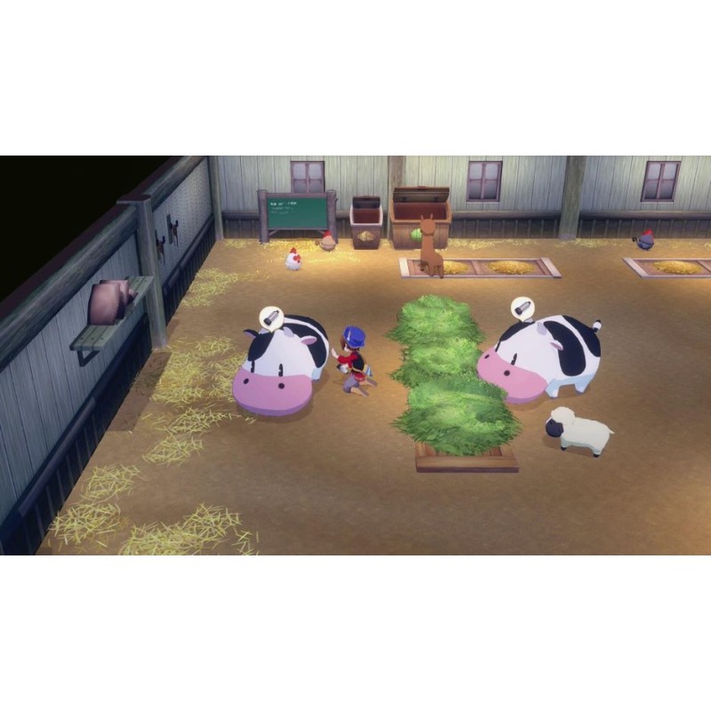 Igra Story Of Seasons: Grand Bazaar - Limited Edition (SWITCH)