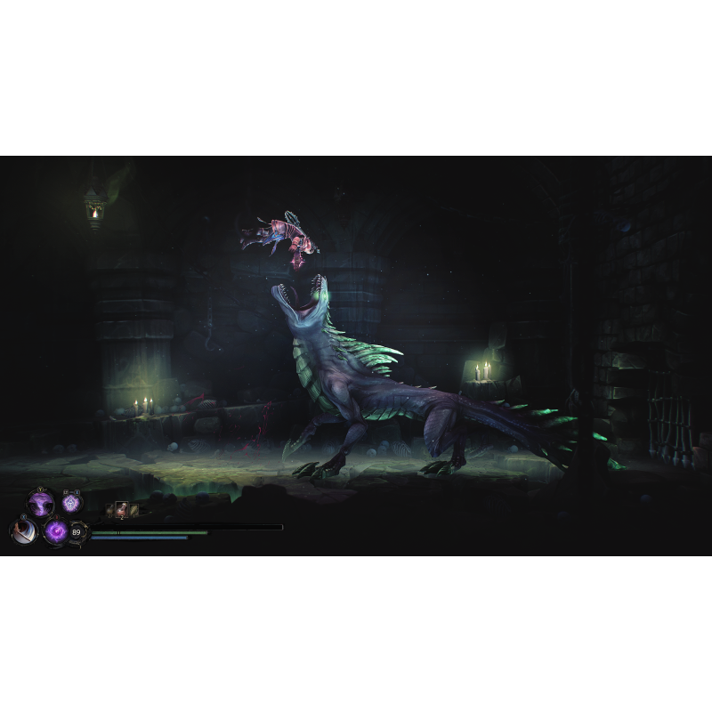 Igra Mandragora: Whispers Of The Witch Tree (Nintendo Switch)