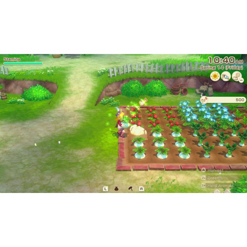 Igra Story Of Seasons: Grand Bazaar (Nintendo Switch 2)