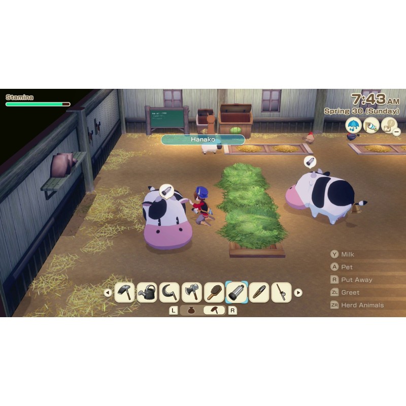 Igra Story Of Seasons: Grand Bazaar (Nintendo Switch 2)