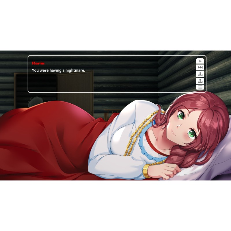 Igra Cooking Companions - Premium Edition (Nintendo Switch)