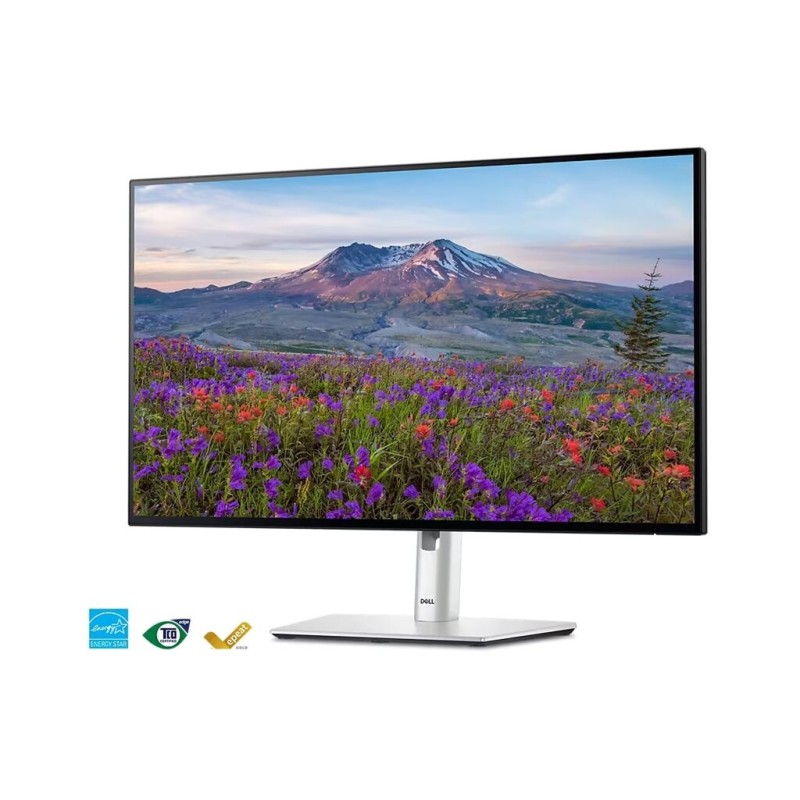 Monitor DELL U2424HE