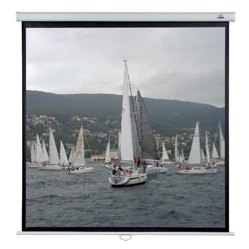 Stensko/stropno projekcijsko platno 200x200