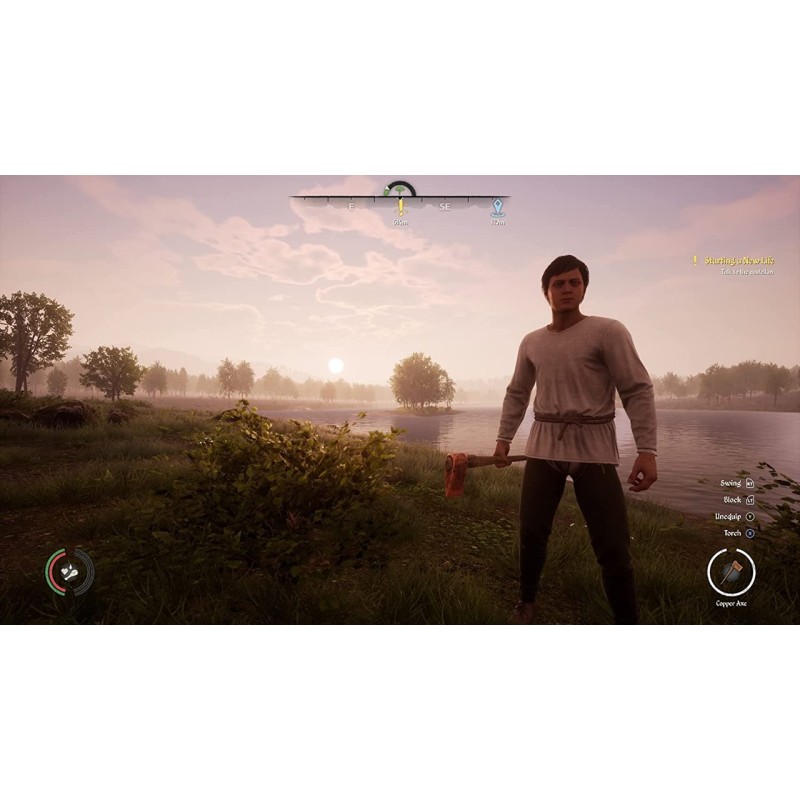 Igra Medieval Dynasty (Playstation 5)