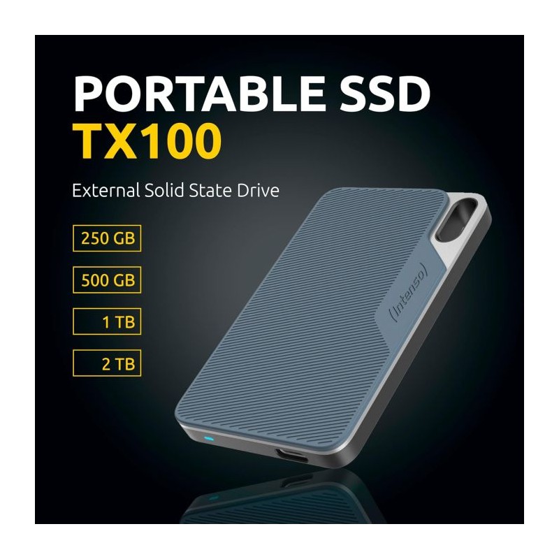 SSD disk 1TB INTENSO prenosni TX100