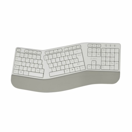 Tipkovnica SBOX WK-905, bež, SLO g.