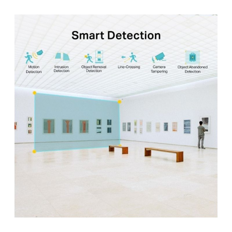 IP kamera TP-LINK VIGI 2MP IR Dome, VIGI C220I(4mm)