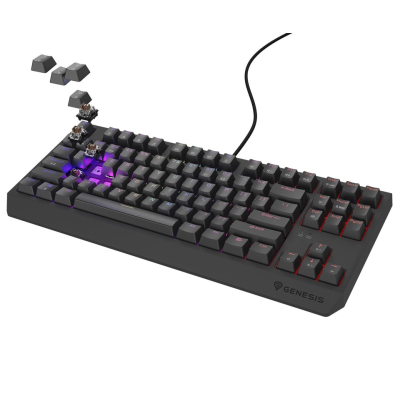 Tipkovnica Genesis Thor 230 TKL, RGB, Outemu Brown stikala, črna