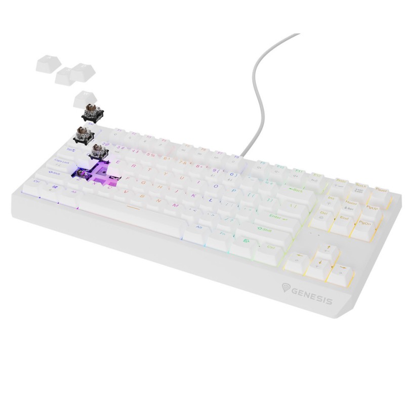 Tipkovnica Genesis Thor 230 TKL, RGB, Outemu Brown stikala, bela