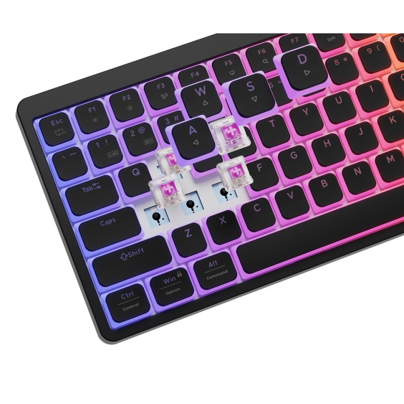 Tipkovnica Genesis Thor 430 TKL, RGB, Outemu Pink stikala, črna