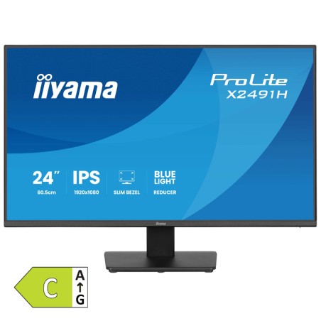 Monitor IIYAMA ProLite X2491H-B1