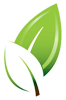green.png